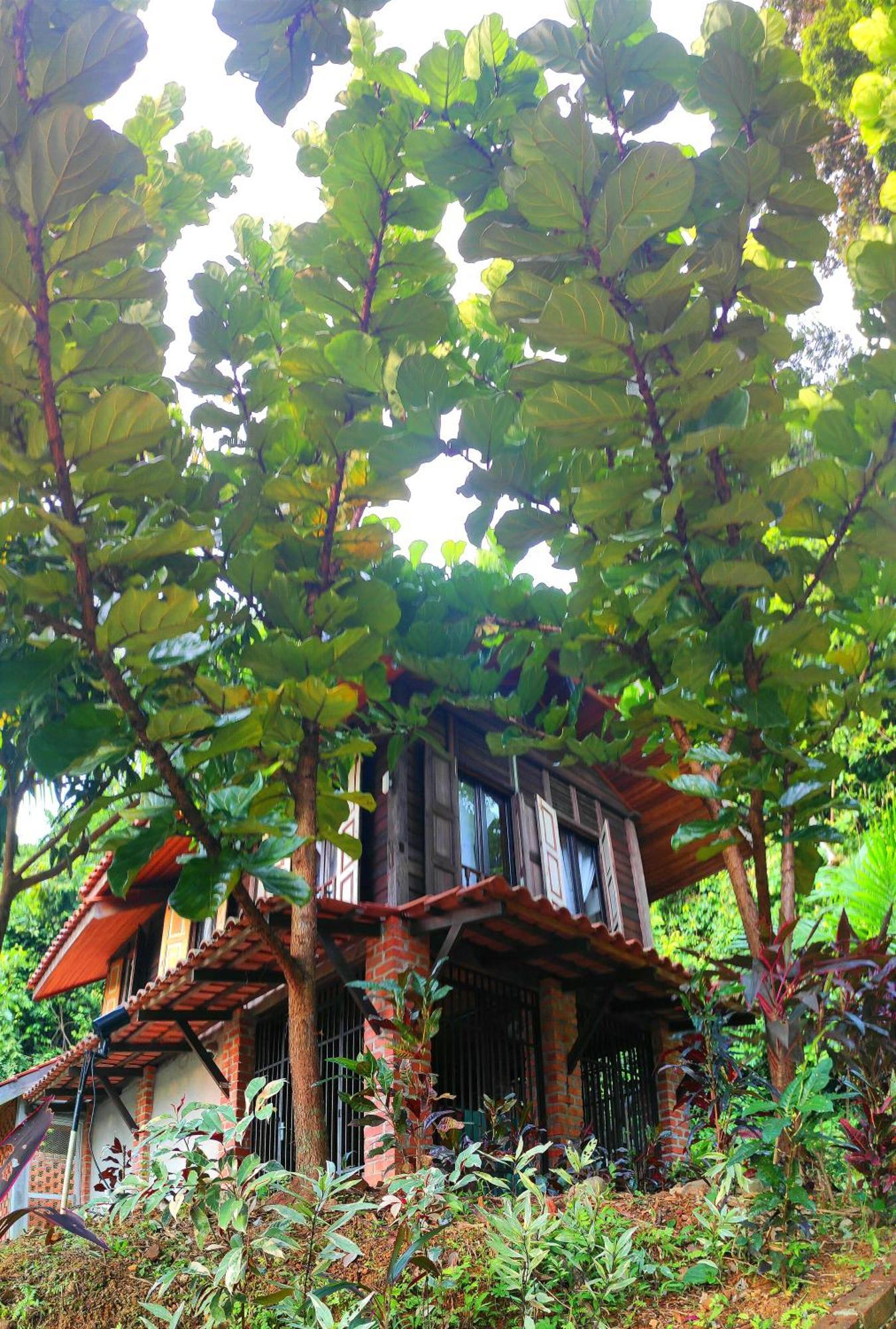 Bed and Breakfast S'Ekar Pinang Langkawi Pantai Cenang  Exterior foto