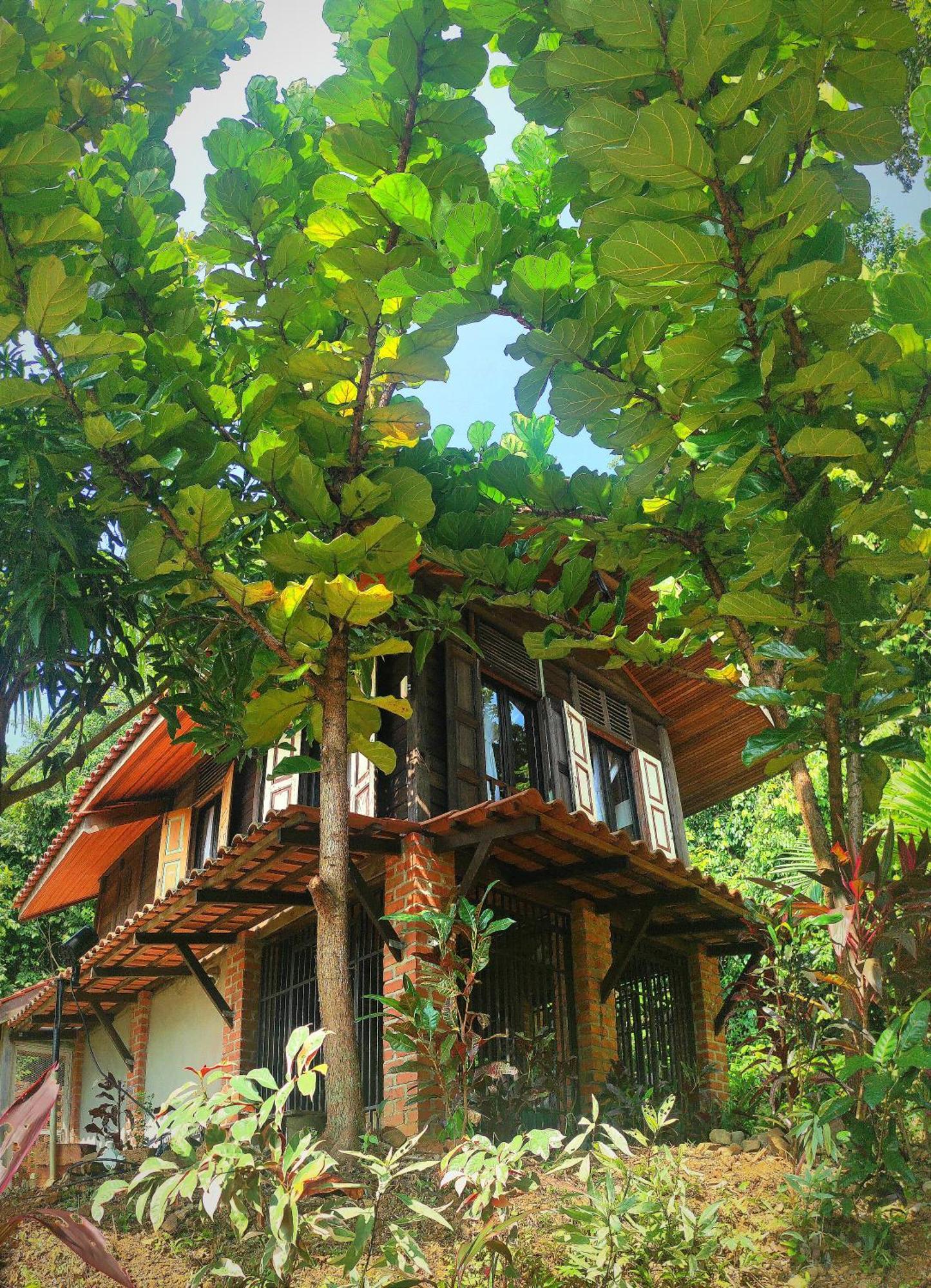Bed and Breakfast S'Ekar Pinang Langkawi Pantai Cenang  Exterior foto